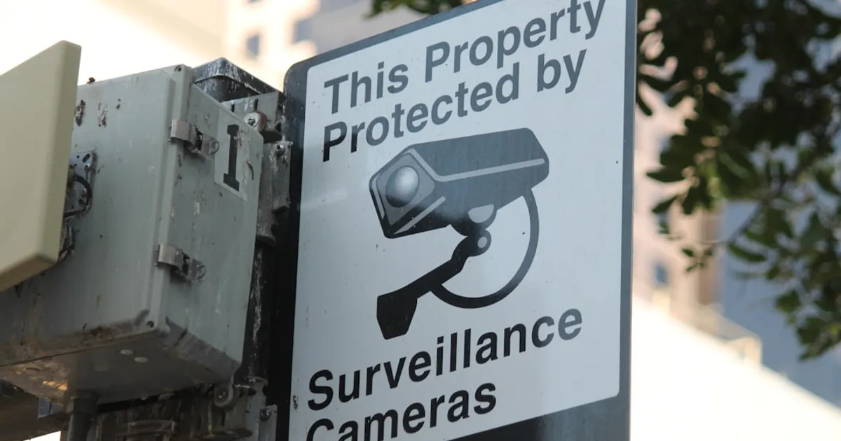 Wildlife Cops Search Thousands of Flock Cameras for ICE