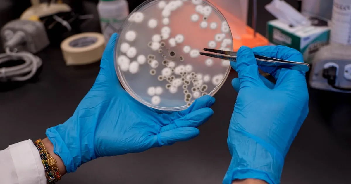 GPT-Rosalind Wants to Compress 15 Years of Drug Discovery