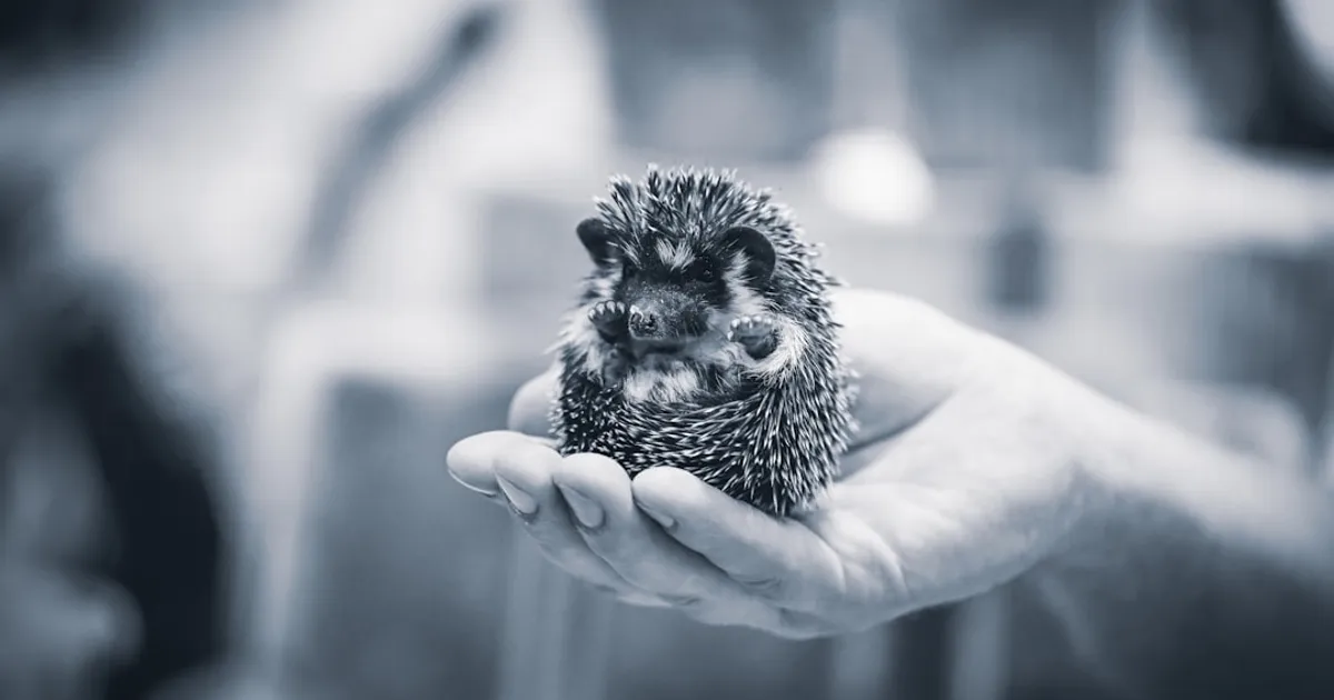 ELI's Hedgehog Makes ArXiv Papers Actually Readable